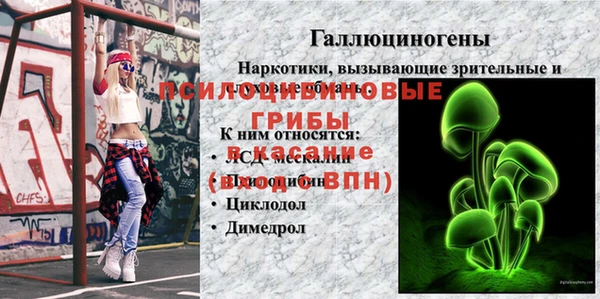 соль ск Абинск
